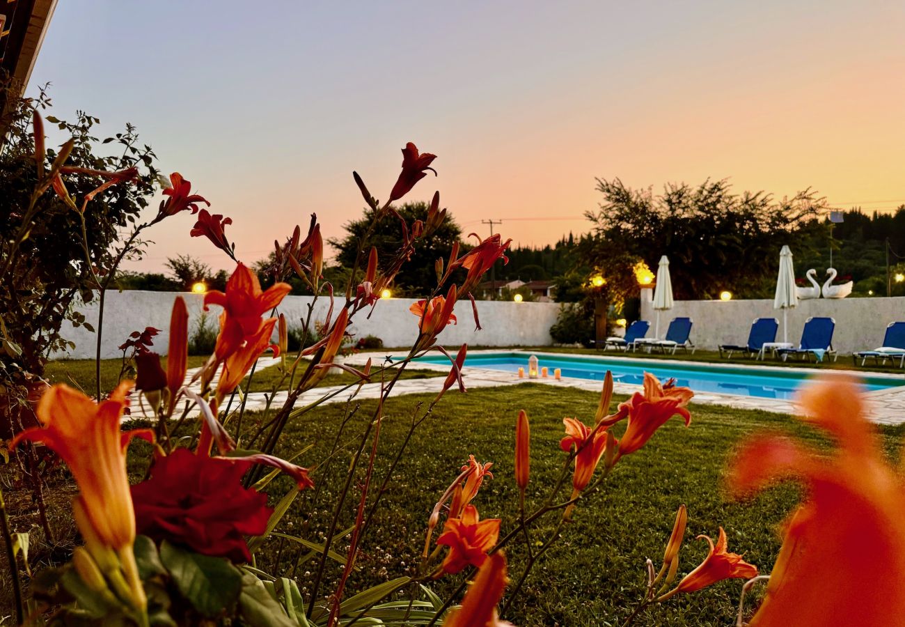 Villa in Sidari - Villa Cocoon Sidari with private pool
