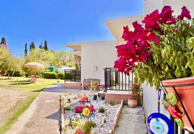 Villa in Sidari - Villa Evaggelia Sidari with private pool Villa in Sidari - Villa Evaggelia Sidari with private pool