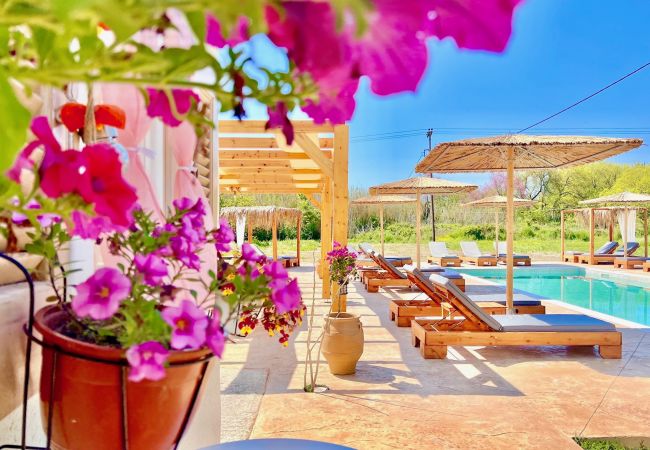 Villa in Sidari - Villa Evaggelia Sidari with private pool Villa in Sidari - Villa Evaggelia Sidari with private pool