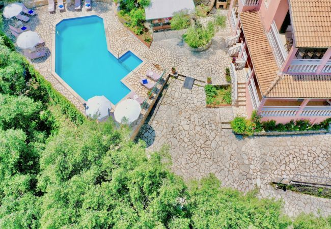 Villa in Kassiopi - Beach Villa Thespina with private pool Villa in Kassiopi - Beach Villa Thespina with private pool