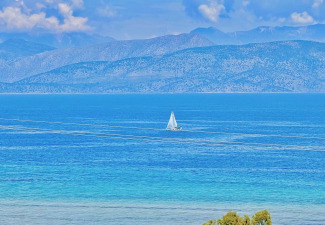 Villa in Kassiopi - Beach Villa Thespina with private pool Villa in Kassiopi - Beach Villa Thespina with private pool
