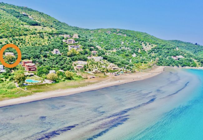 Villa in Kassiopi - Beach Villa Thespina with private pool Villa in Kassiopi - Beach Villa Thespina with private pool