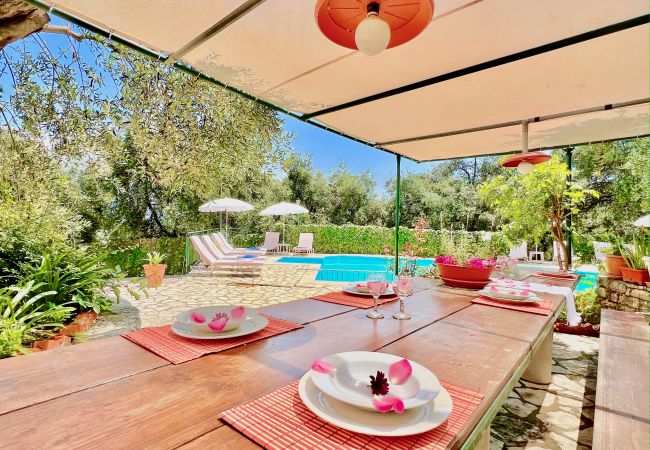 Villa in Kassiopi - Beach Villa Thespina with private pool Villa in Kassiopi - Beach Villa Thespina with private pool