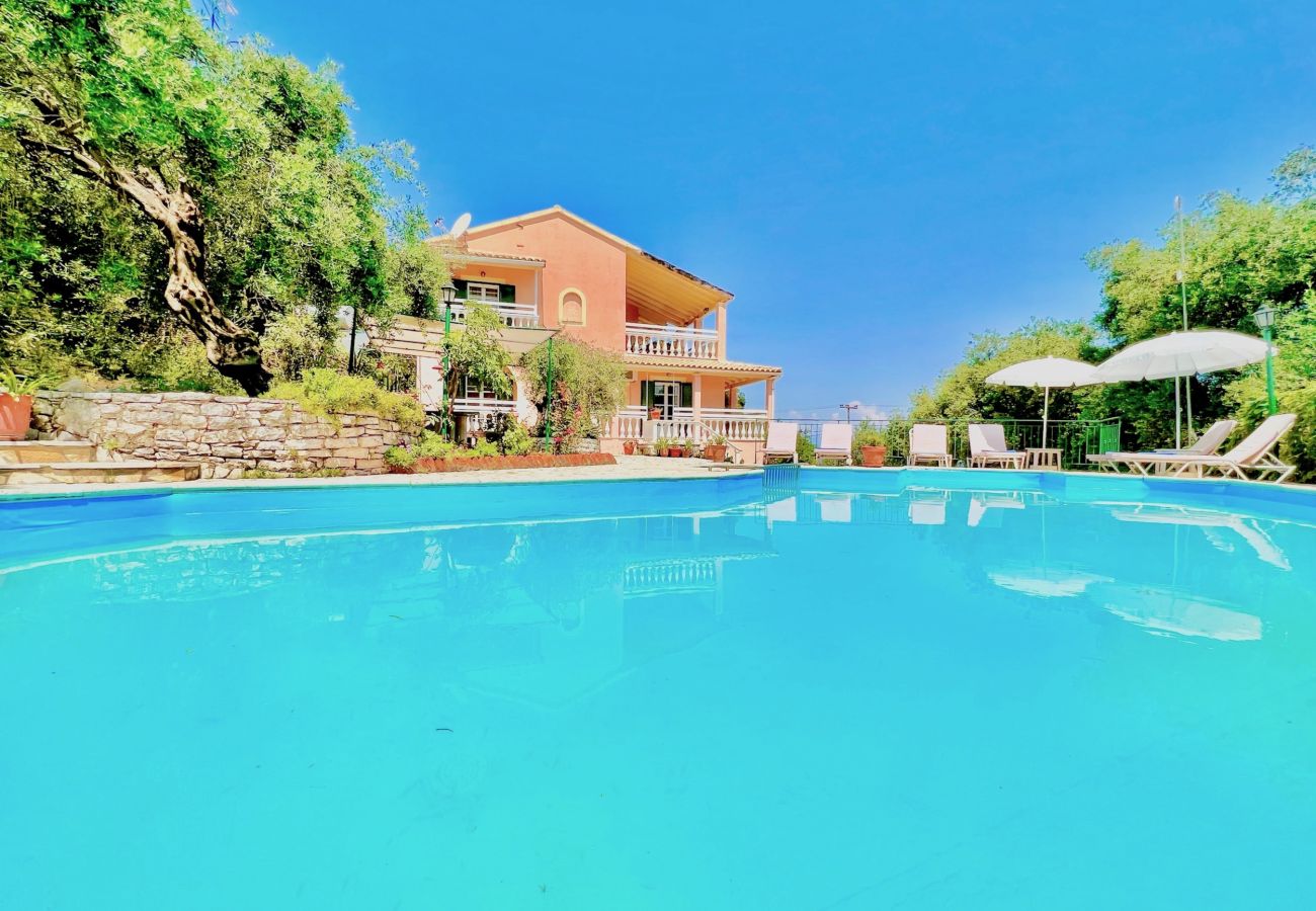 Villa in Kassiopi - Beach Villa Thespina with private pool