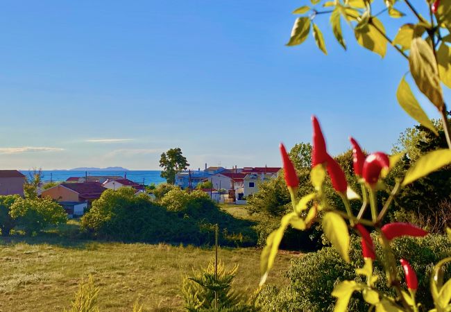 Villa in Acharavi - Beach Villa Heart House with private pool Villa in Acharavi - Beach Villa Heart House with private pool