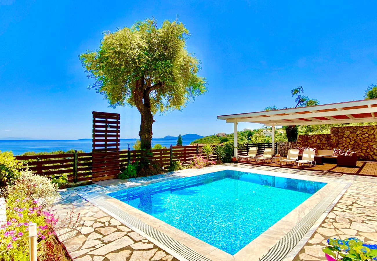 Villa in Barbati - Villa Barbati Dream with private pool