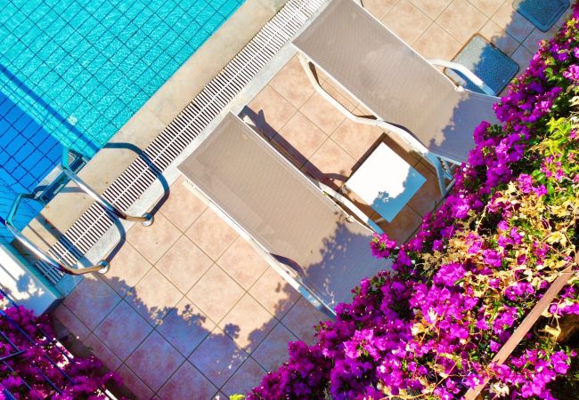 Villa in Barbati - Beach Villa Barbati Pelagos with private pool Villa in Barbati - Beach Villa Barbati Pelagos with private pool