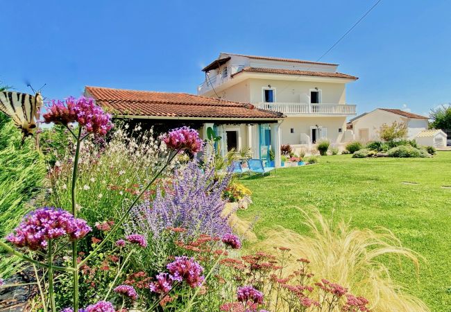 Villa in Agnos beach - Villa Doma with private pool Villa in Agnos beach - Villa Doma with private pool
