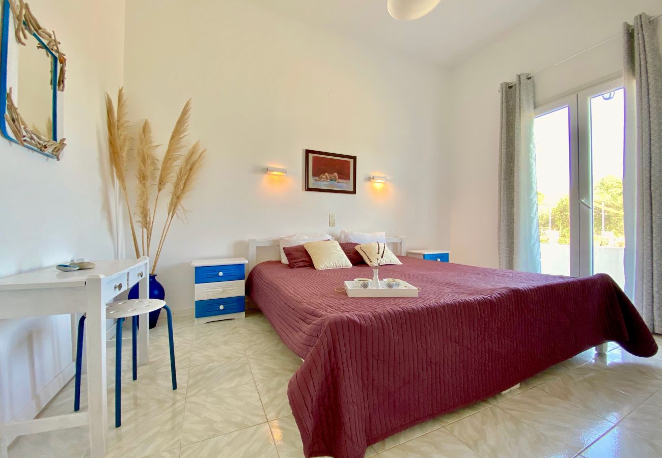 Villa in Agnos beach - Villa Doma with private pool