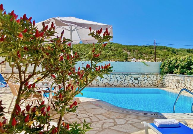 Villa in Kassiopi - Villa Olga Kassiopi with private pool Villa in Kassiopi - Villa Olga Kassiopi with private pool