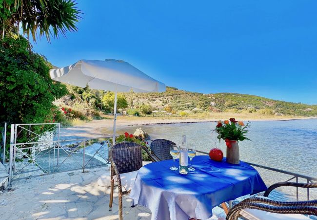 Villa in Kassiopi - Apraos Beachfront Studio Villa in Kassiopi - Apraos Beachfront Studio