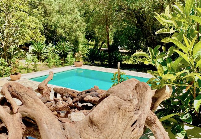 Villa in Agni - Villa Eva Agni with private pool Villa in Agni - Villa Eva Agni with private pool