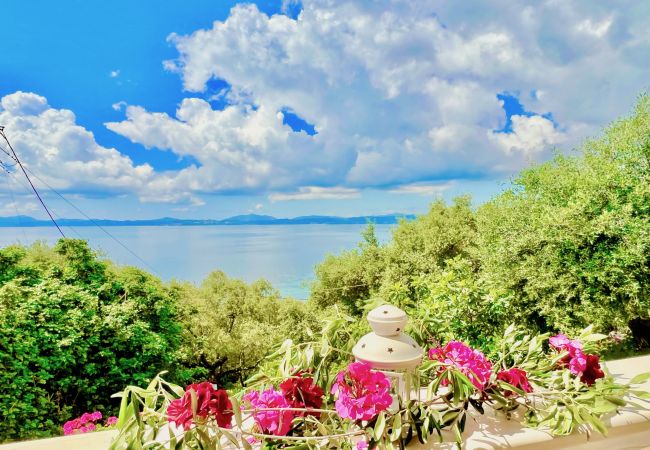 Apartment in Nissaki - Vasilis Nissaki Luxury Holiday Home Apartment in Nissaki - Vasilis Nissaki Luxury Holiday Home
