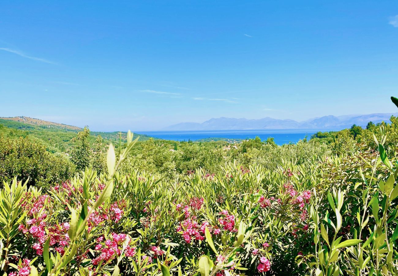 Villa in Agios Stefanos Kassiopi - Villa Kessar St. Stephanos with private pool