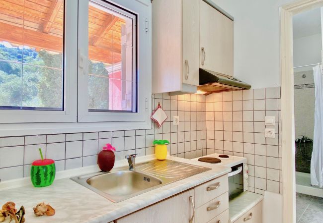 Apartment in Messonghi - Villa Ourania - Studio 4 garden view Apartment in Messonghi - Villa Ourania - Studio 4 garden view