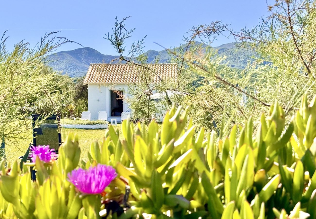 Villa in Acharavi - Beachfront Villa Stato Da Mar Romantic