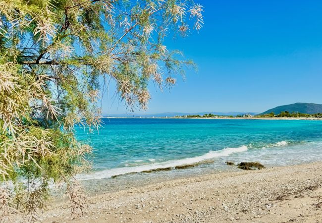 Villa in Lefkada - Beach Villa Fotini with private pool Villa in Lefkada - Beach Villa Fotini with private pool
