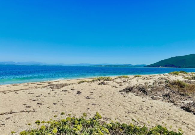 Villa in Lefkada - Beach Villa Fotini with private pool Villa in Lefkada - Beach Villa Fotini with private pool