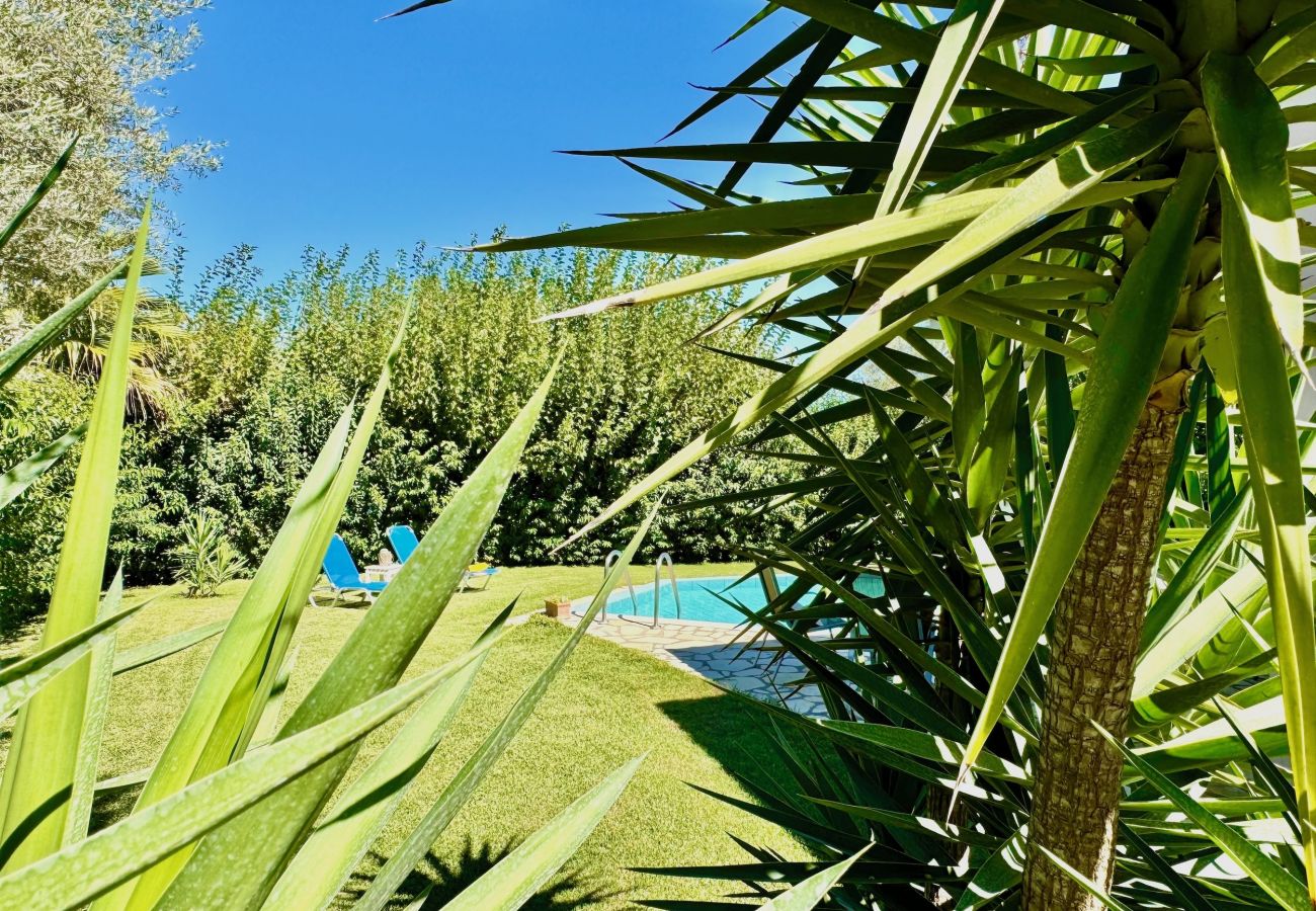 Villa in Lefkada - Beach Villa Fotini with private pool