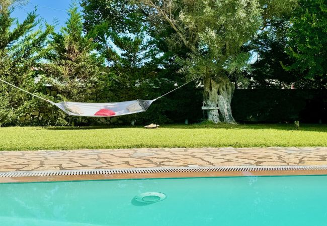 Villa in Lefkada - Beach Villa Simeoni with private pool Villa in Lefkada - Beach Villa Simeoni with private pool