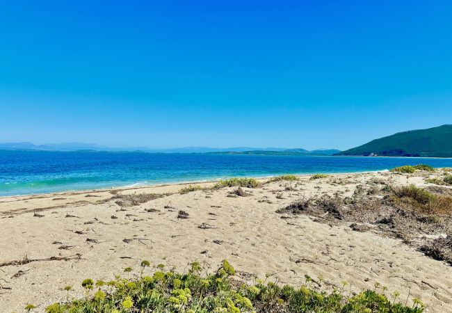 Villa in Lefkada - Beach Villa Simeoni with private pool Villa in Lefkada - Beach Villa Simeoni with private pool