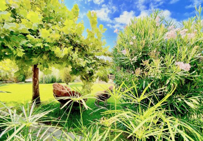 Apartment in Acharavi - Asteraki Beach House Apartment in Acharavi - Asteraki Beach House