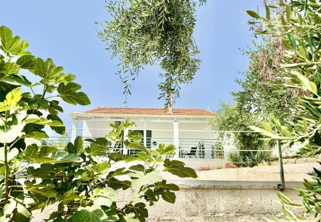 Villa in Acharavi - Boutique Villa Elea with private pool Villa in Acharavi - Boutique Villa Elea with private pool