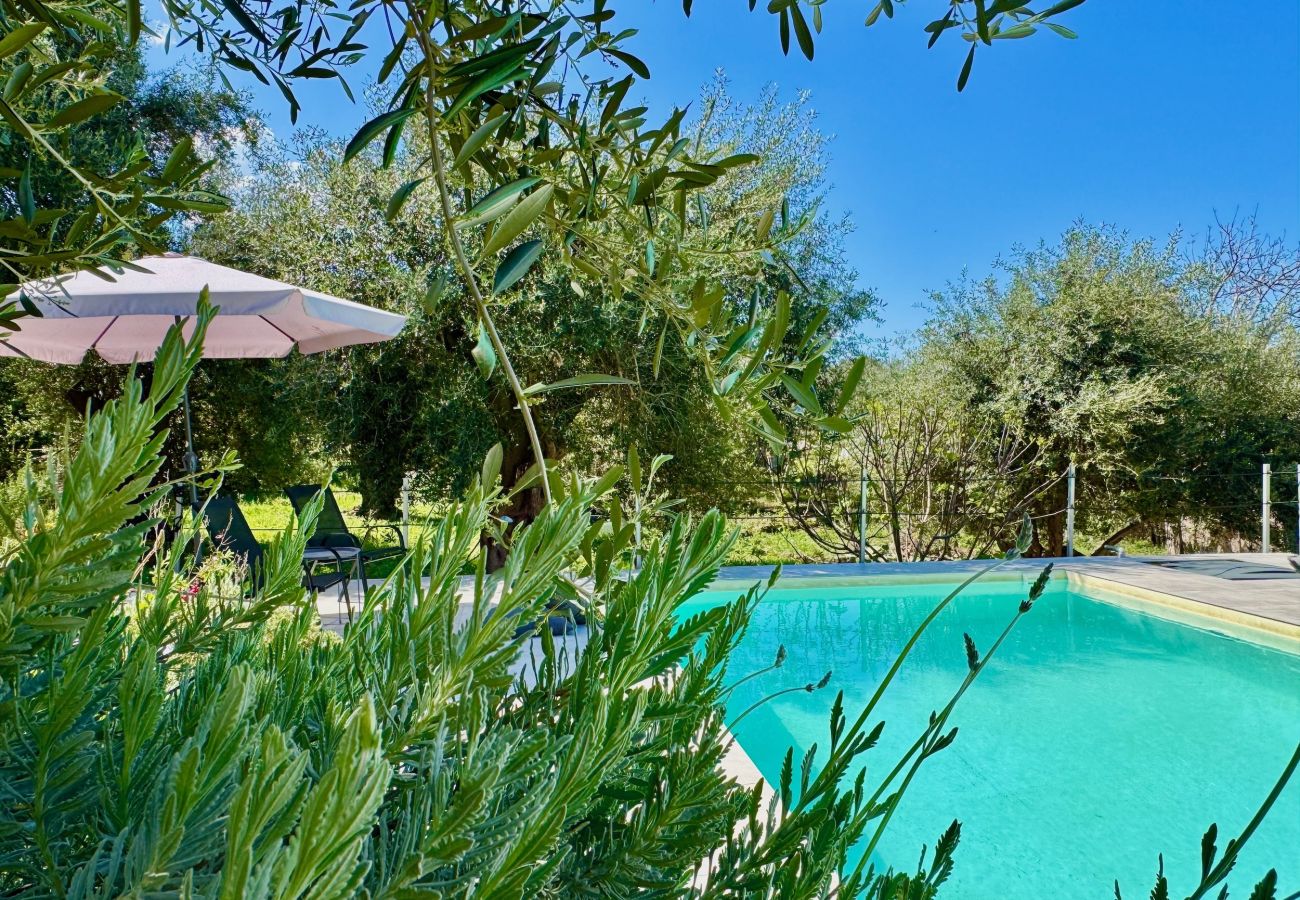 Villa in Acharavi - Boutique Villa Elea with private pool