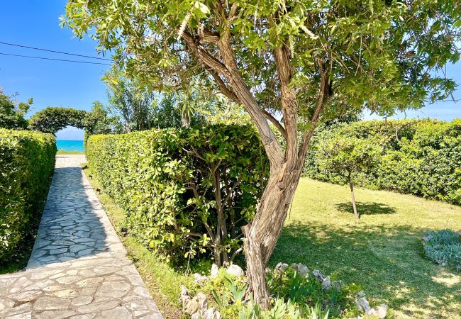 Apartment in Acharavi - Beachfront Suite GardenMare 1 Apartment in Acharavi - Beachfront Suite GardenMare 1