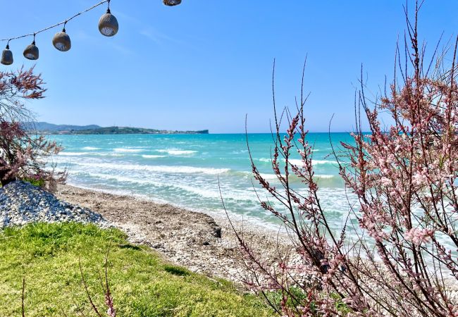 Apartment in Acharavi - Beachfront Suite GardenMare 1 Apartment in Acharavi - Beachfront Suite GardenMare 1