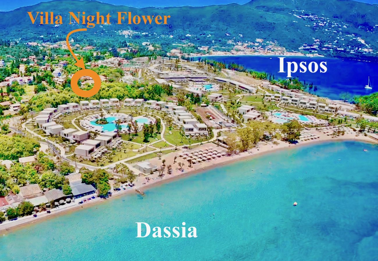 Villa in Dassia - Beach Villa Night Flower with private pool