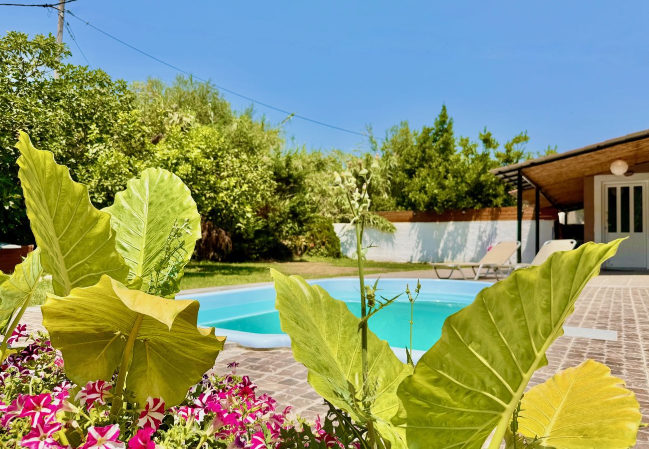 Villa in Dassia - Beach Villa Night Flower with private pool