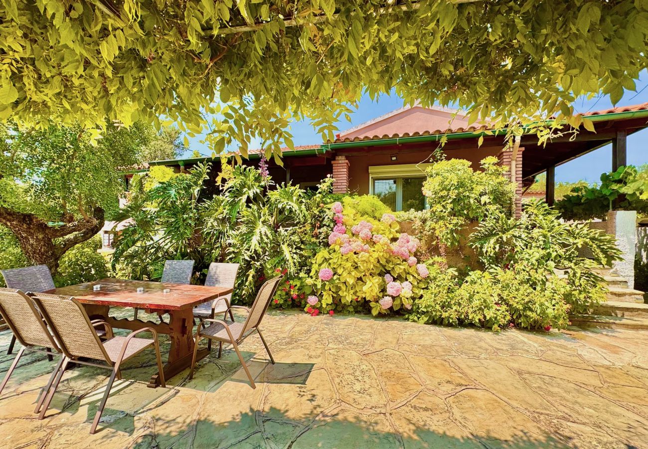 Villa in Dassia - Beach Villa Night Flower with private pool