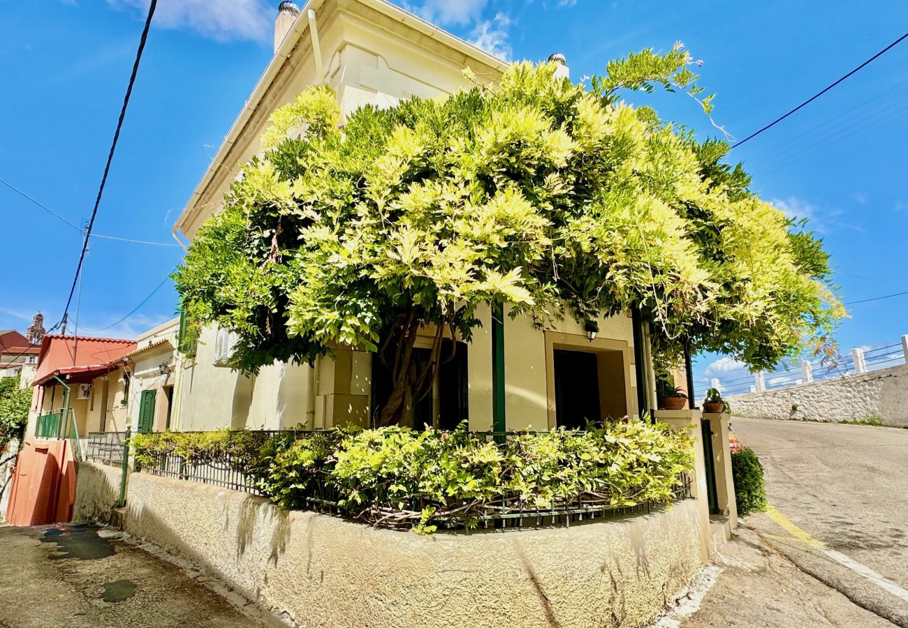 Villa in Agrafoi - Casa Dolce with private plunge pool