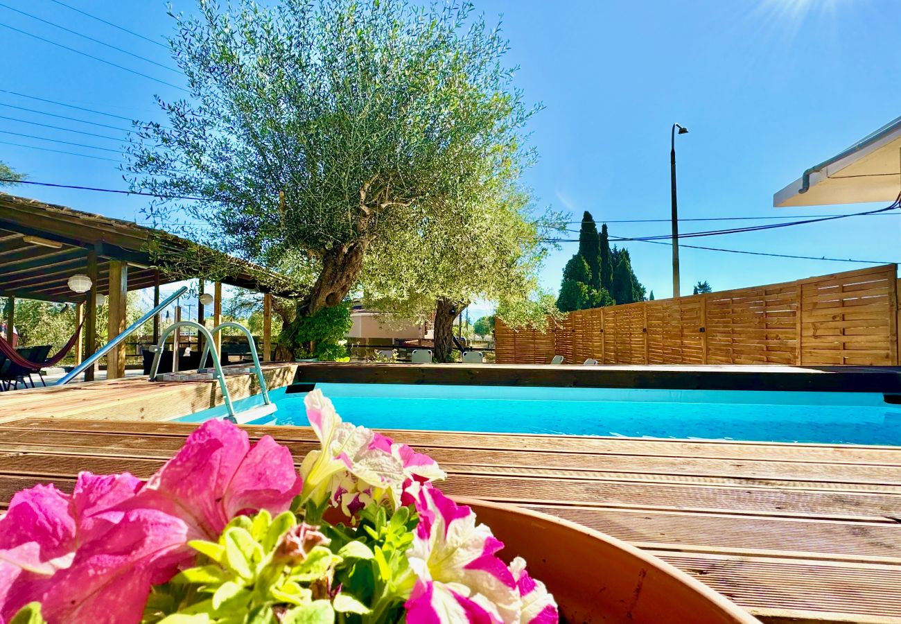 Villa in Dassia - Villa Sophia Central with private plunge pool