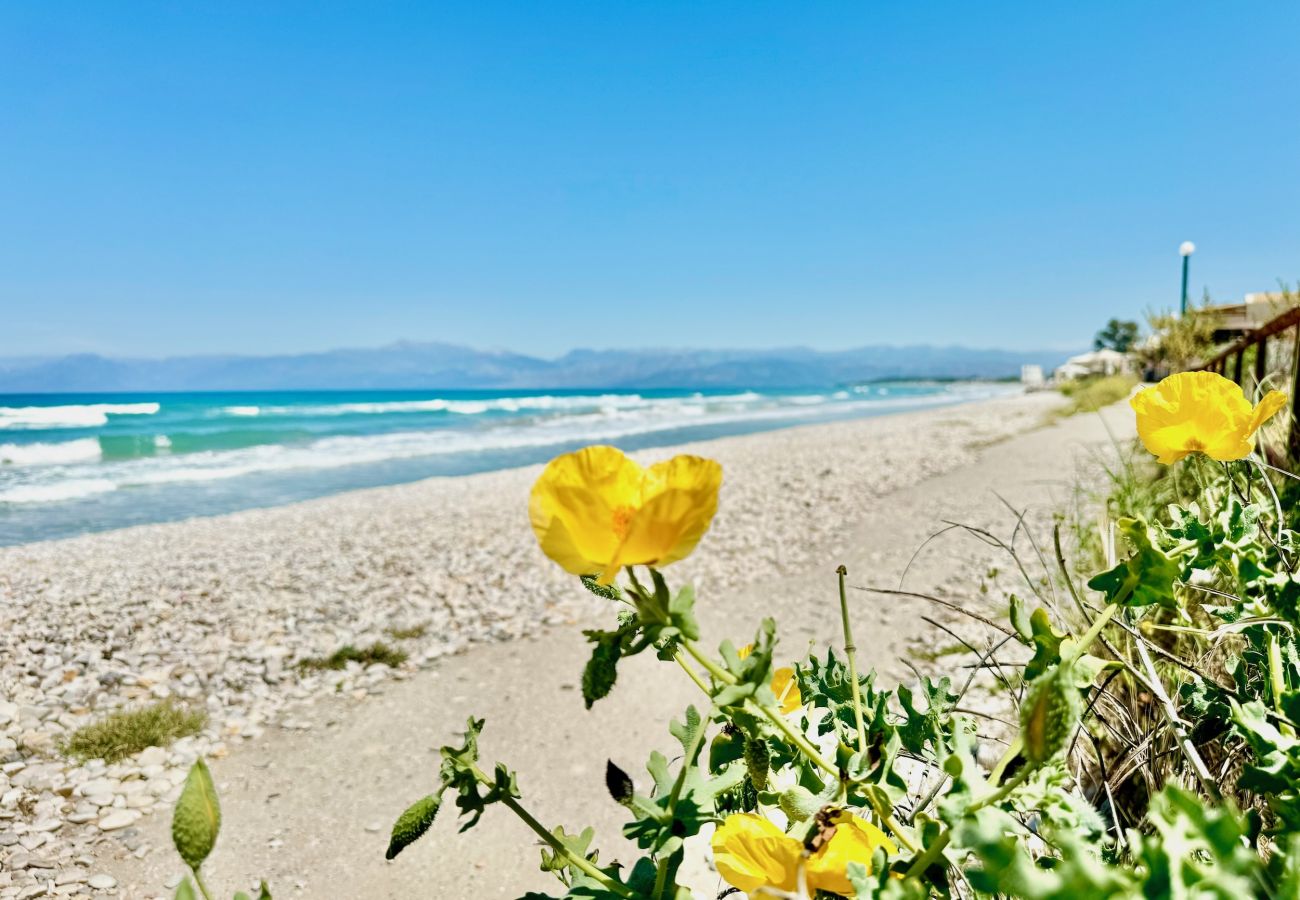 Villa in Acharavi - Beachfront Villa Calypso with private pool