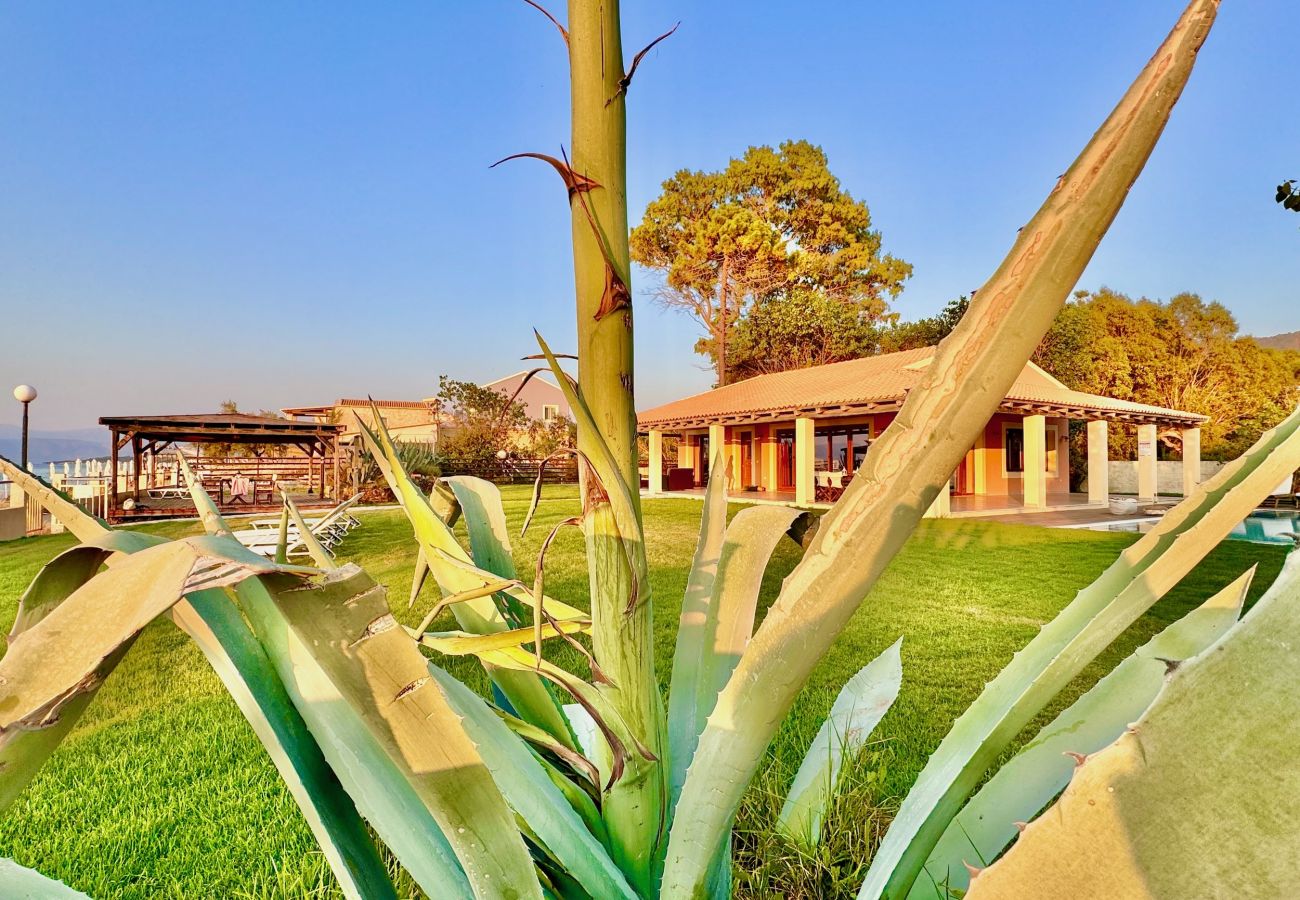 Villa in Acharavi - Beachfront Villa Calypso with private pool