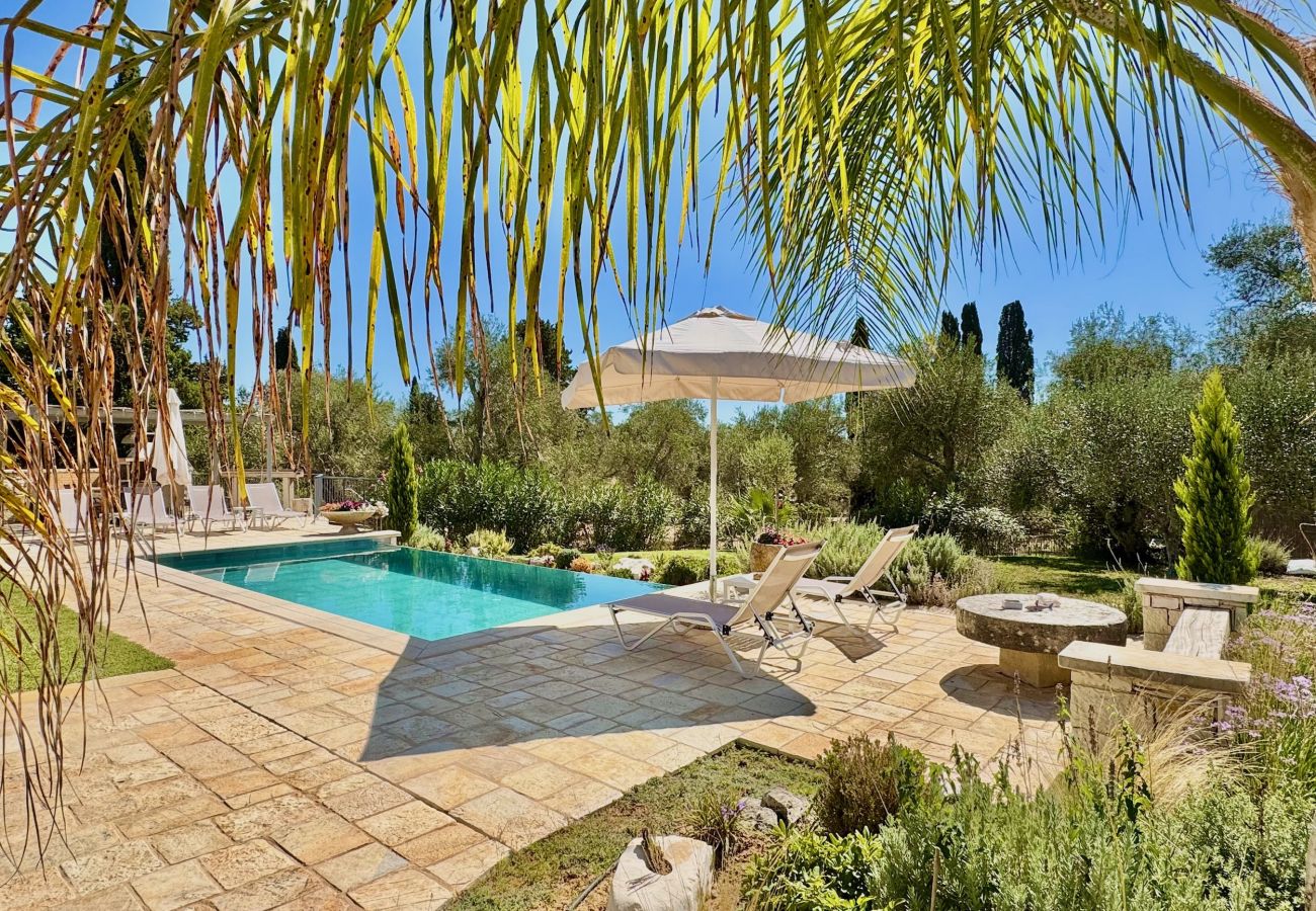 Villa in Dassia - Luxury Villa Mateo with private pool