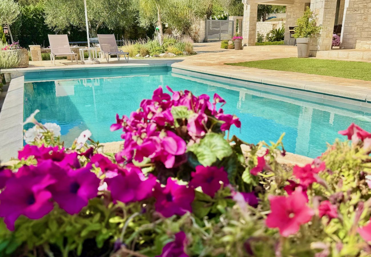 Villa in Dassia - Luxury Villa Mateo with private pool
