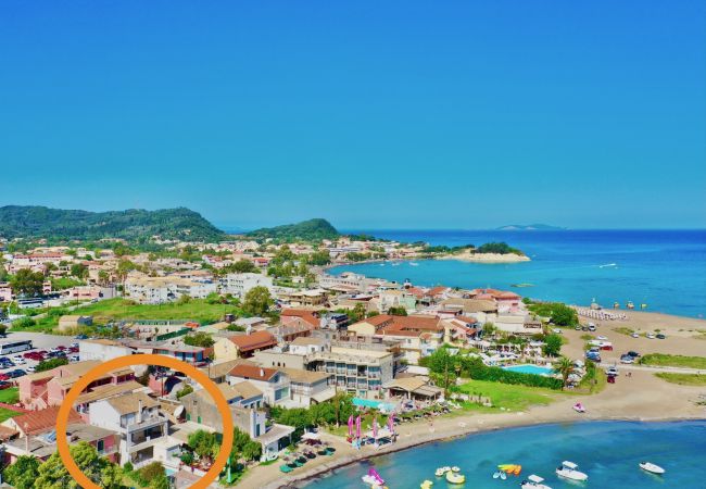 Villa in Sidari - Beachfront Villa Anatoli with private heated pool