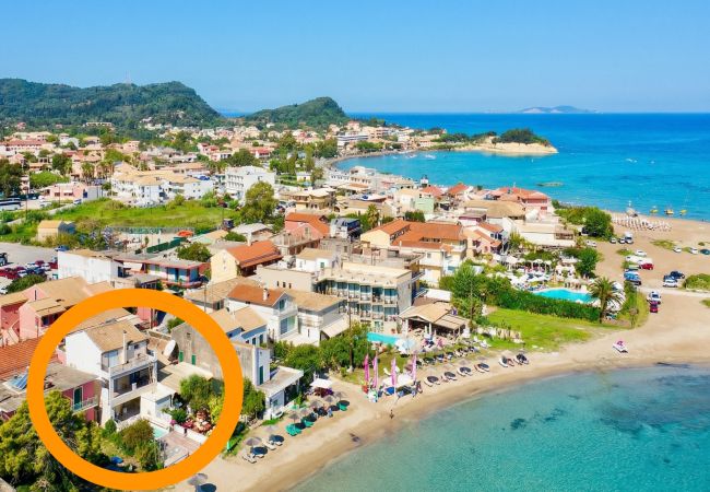 Villa in Sidari - Beachfront Villa Anatoli with private heated pool