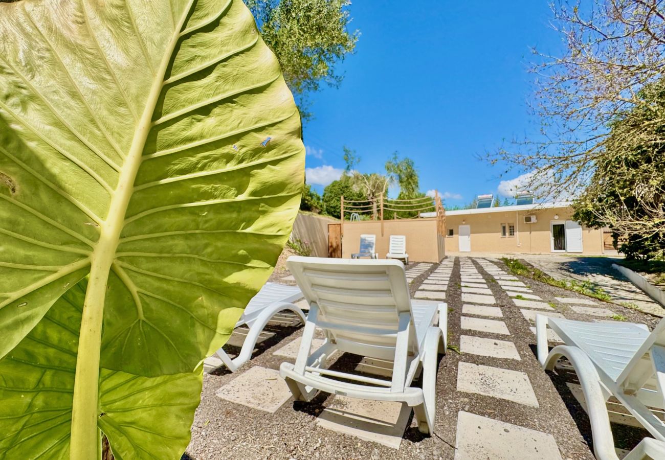 Villa in Dassia - Villa Verve Dassia with private pool